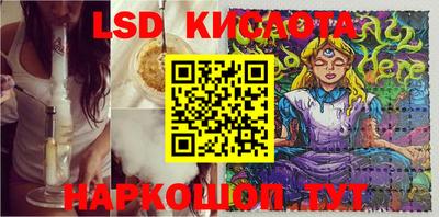 крисы Краснодар