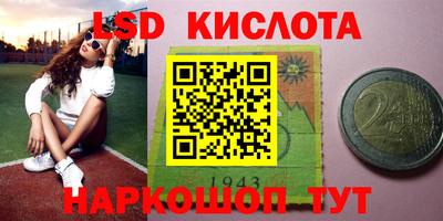 крисы Краснодар
