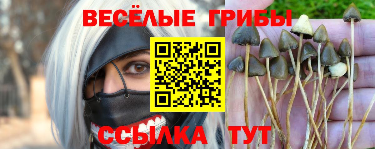 Галлюциногенные грибы мицелий  Вход с VPN  Зеленокумск 